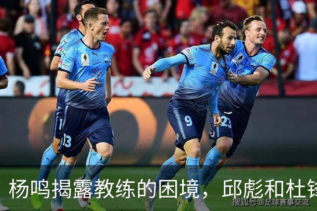 杨鸣揭露教练的困境，邱彪和杜锋的小团队行为是否成为自保策略？