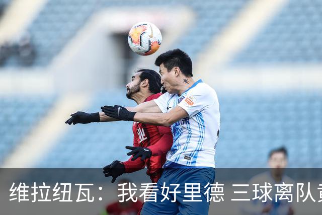 维拉纽瓦：我看好里德 三球离队黄蜂的实力反而得到了提升